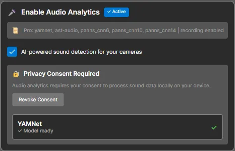 Audio Analytics Settings